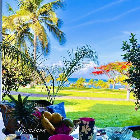 Acces Direct Plage, Vue Mer D'Exception, Les Gwada Studios, Village Vacances Сент-Анн Екстер'єр фото