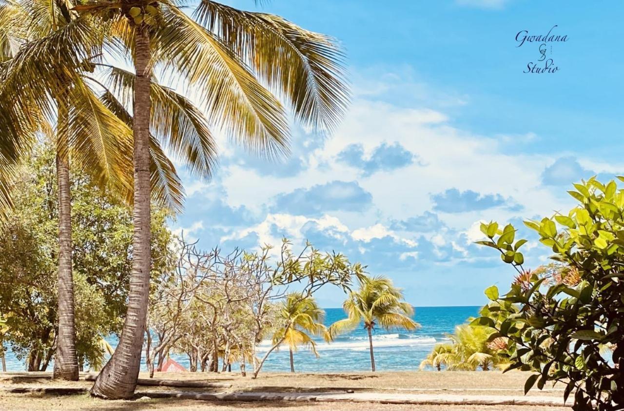 Acces Direct Plage, Vue Mer D'Exception, Les Gwada Studios, Village Vacances Сент-Анн Екстер'єр фото