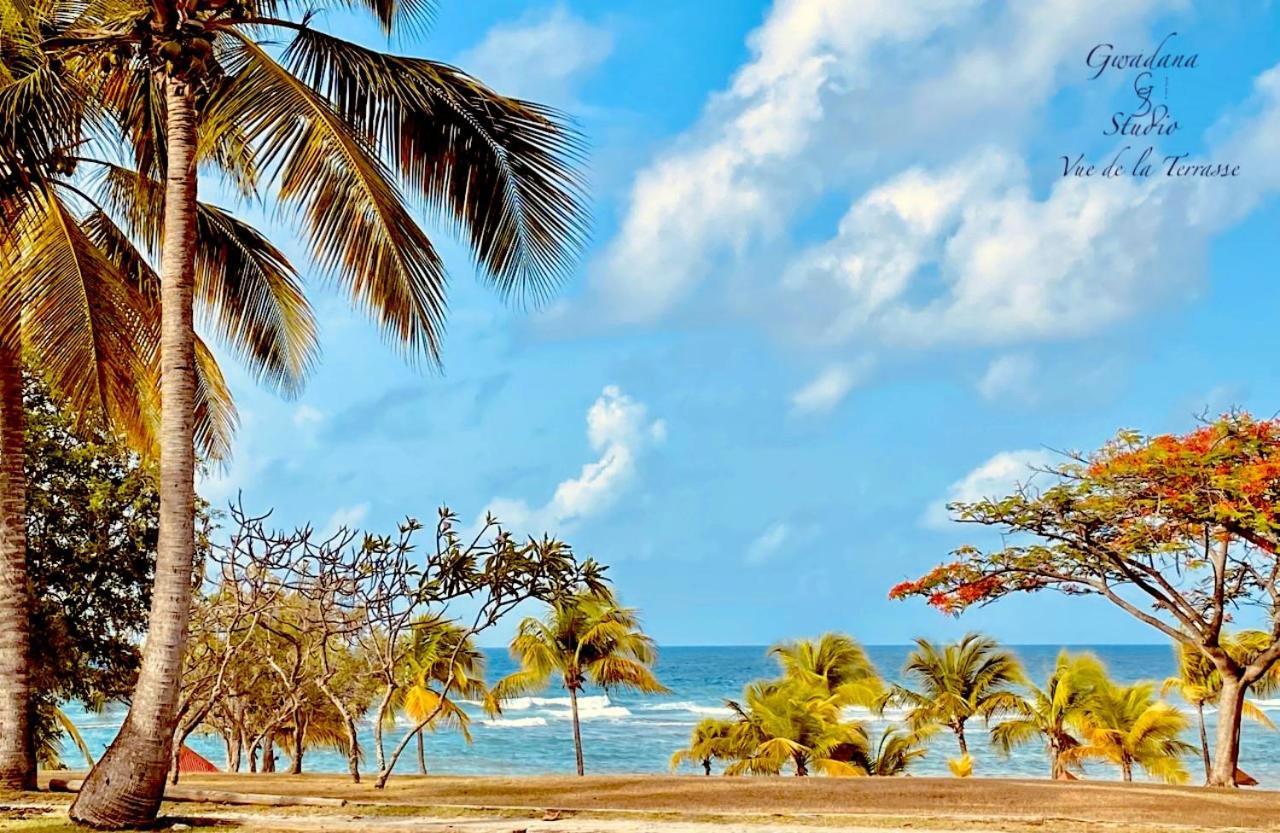 Acces Direct Plage, Vue Mer D'Exception, Les Gwada Studios, Village Vacances Сент-Анн Екстер'єр фото