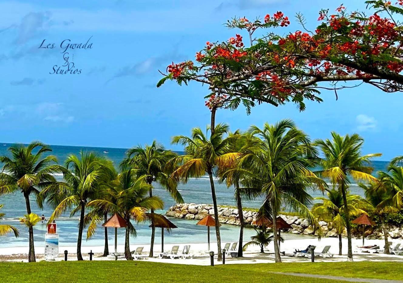 Acces Direct Plage, Vue Mer D'Exception, Les Gwada Studios, Village Vacances Сент-Анн Екстер'єр фото
